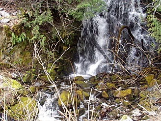 Baby waterfall2.jpg