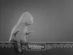 Wilkinsnowhere