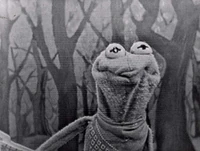 Horsenamedbill-sam.jpg