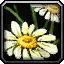 Inv_misc_flower_02.png