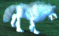 Image of Lupos