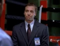 AgentFreedman