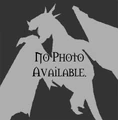 Dragon nopic.jpg