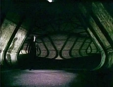 Starjellycorridor