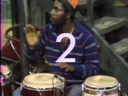 Stevie3