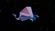 Thewaytoeden