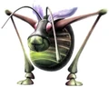 Antennabeetle.jpg