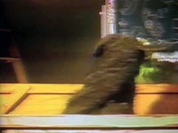 Pitchreel-kiss.jpg