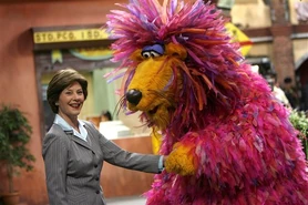 Laurabush