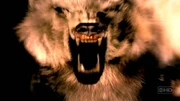 Vision polar bear.jpg