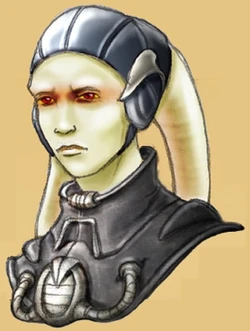 Bella concept.jpg