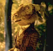 Marchhare-aw