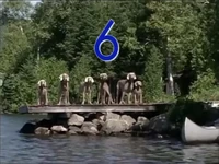 3985f