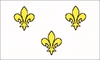 French Flag.png