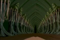 Phylosians dead.jpg