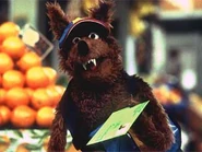 Wolfram Wolf