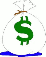 Money bag