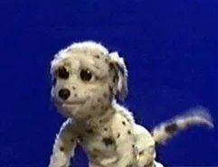 Buffy (dog)