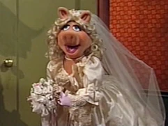 Weddingpiggy-martinshort