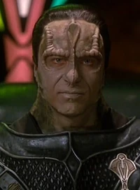 Damar2375.jpg
