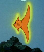 Halo fish