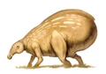 ShaakNEGAS.jpg