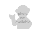 Photo-not-available