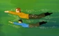 Kirk and Spock mutated.jpg