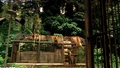Ep3x02-Sawyer's Cage.jpg