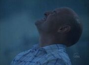 Locke im Regen