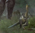Pikobi.jpg