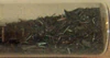 Be,4