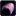 Inv qiraj huskoldgod