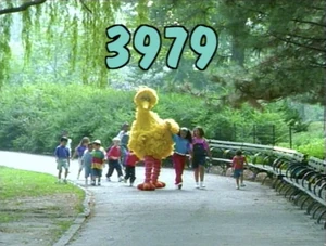 3979.jpg