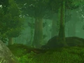 High Wilderness.jpg
