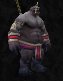 GordokOgreSuit