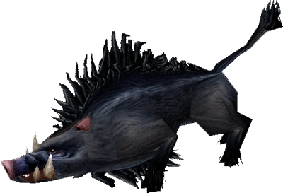 Boar