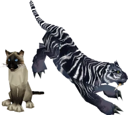 Cats