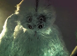 Muftak.jpg
