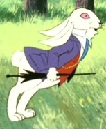 White Rabbit, 2269
