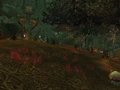 Jadefire Glen.jpg