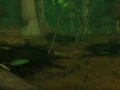 Shatter Scar Vale.jpg