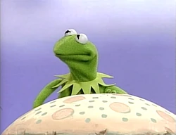 Necks