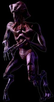 Species84722