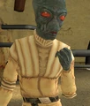 Daysocooh.jpg