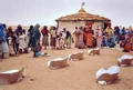 KoZon Chad CooKits.jpg