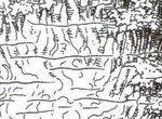 Equatorial swamp