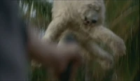 BearLaunchFreeze.jpg