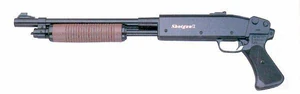 Shotgun