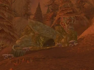 Terrorweb Tunnel 1